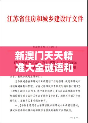 专家解析解释与落实 第6页