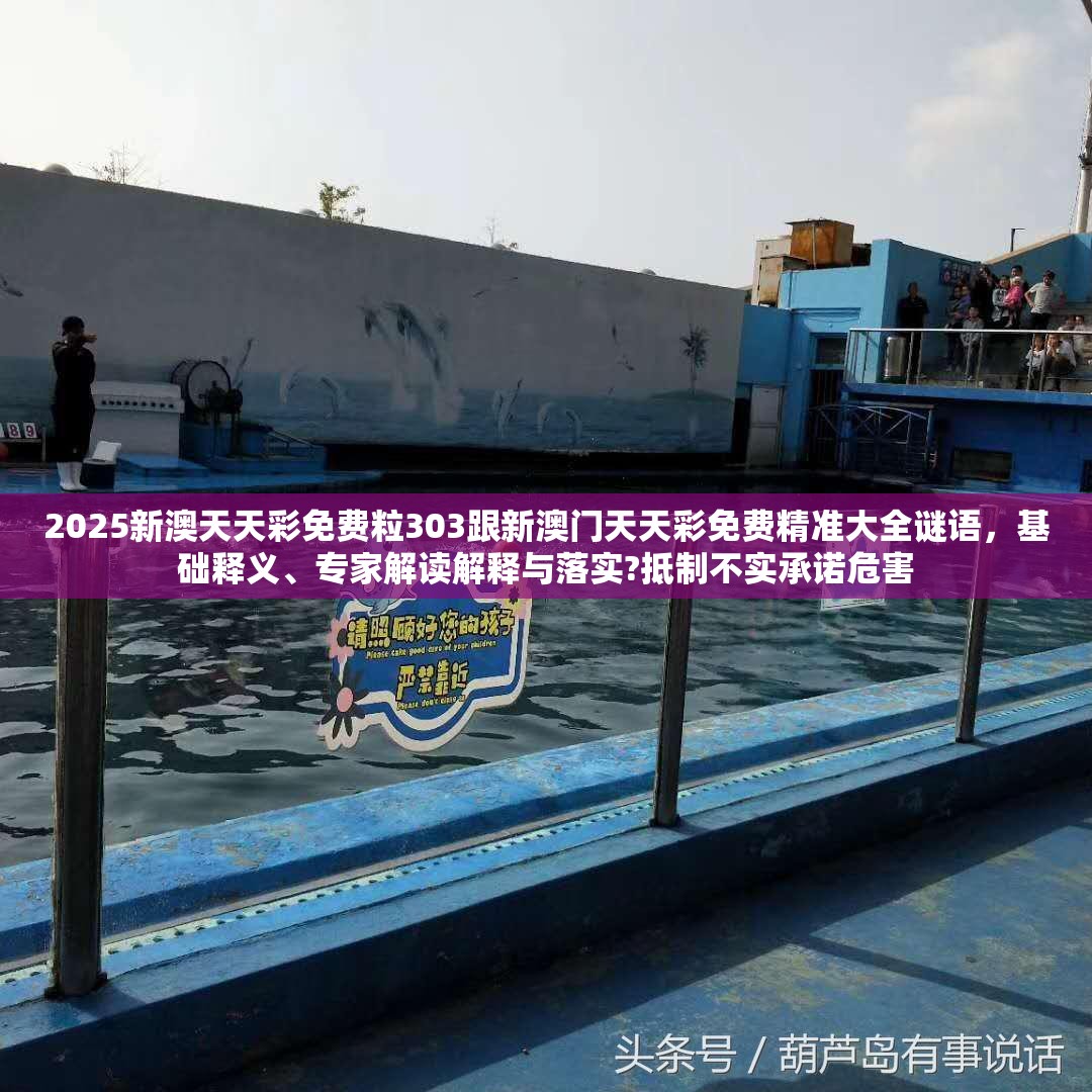 2025新澳天天彩免费粒303跟新澳门天天彩免费精准大全谜语，基础释义、专家解读解释与落实?抵制不实承诺危害